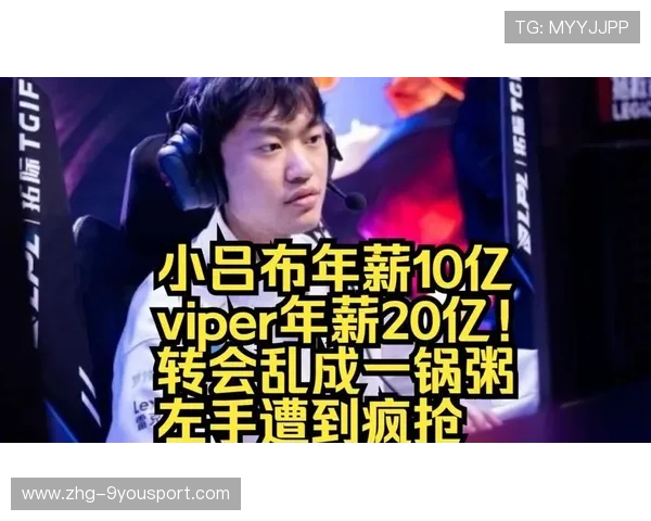 Viper谁能买得起？资本入局让转会变成拍卖会