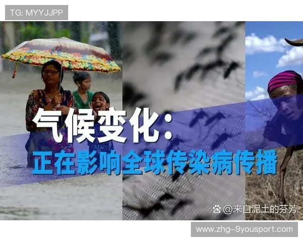 气候变化对战术制定的影响分析,气候对作战的影响